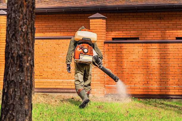 Bed Bug Clearance Verification and Documentation in Oliver Springs